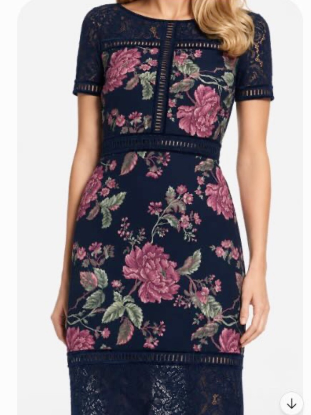 Tadashi Shoji "Anais" Floral Lace Sheath Dress — Size 12 Petite